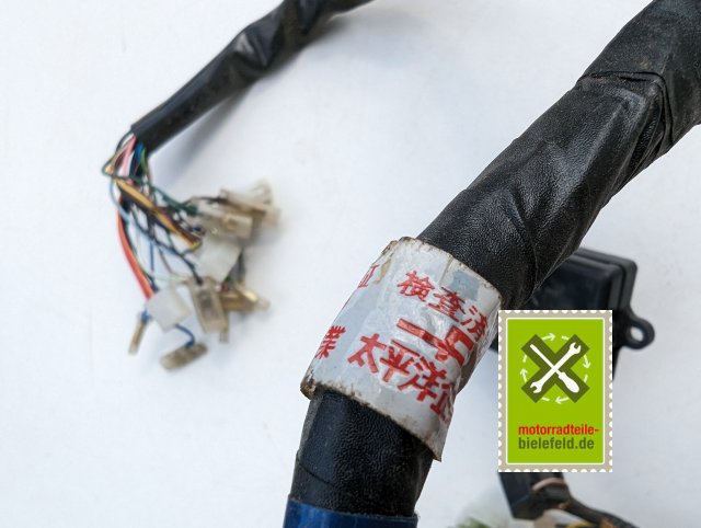 PXL_20240528_144334585